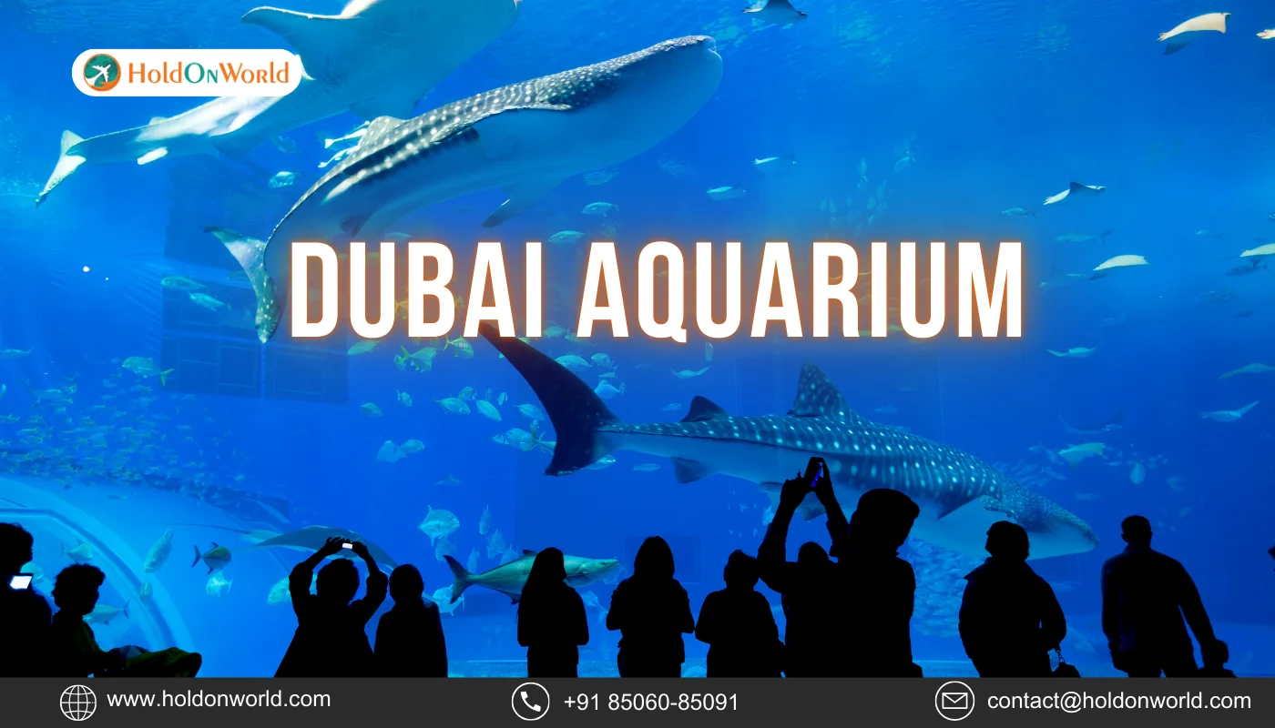 Dubai Holdonworld